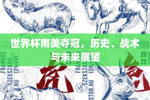世界杯南美夺冠，历史、战术与未来展望