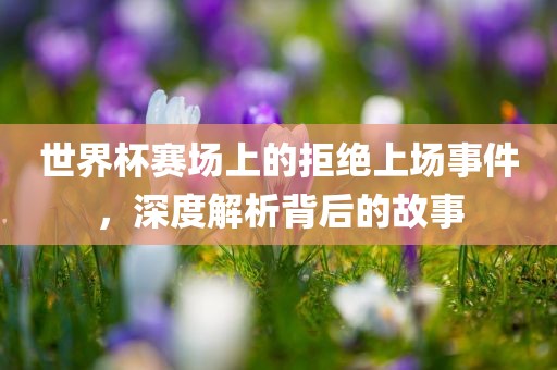 世界杯赛场上的拒绝上场事件，深度解析背后的故事广西贺州市华昌新材料有限公司