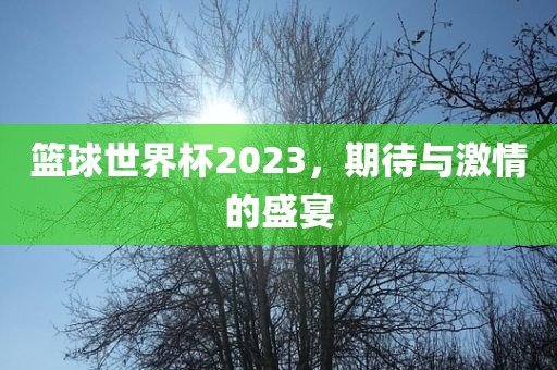 篮球世界杯2023，期待与激情的盛宴