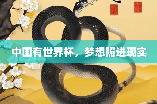 中国有世界杯，梦想照进现实