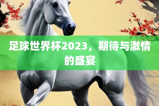 足球世界杯2023，期待与激情的盛宴
