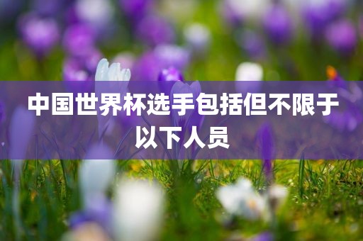 中国世界杯选手包括但不限于以下人员广西贺州市华昌新材料有限公司