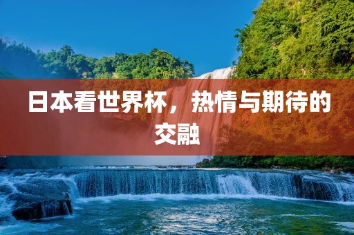 日本看世界杯，热情与期待的交融