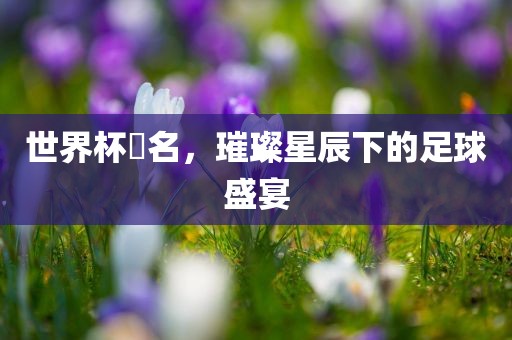 世界杯琲名，璀璨星辰下的足球盛宴广西贺州市华昌新材料有限公司