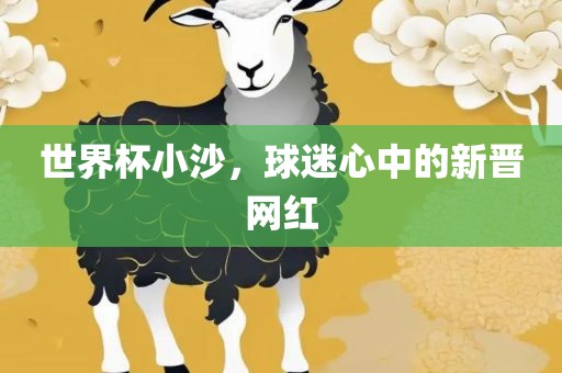 世界杯小沙，球迷心中的新晋网红广西贺州市华昌新材料有限公司