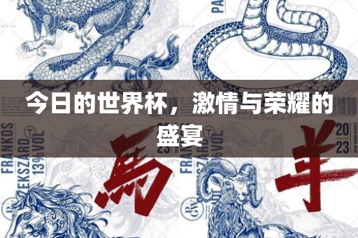 今日的世界杯，激情与荣耀的盛广西贺州市华昌新材料有限公司宴
