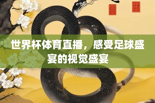 世界杯体育直播，感受足球盛宴的视觉盛宴