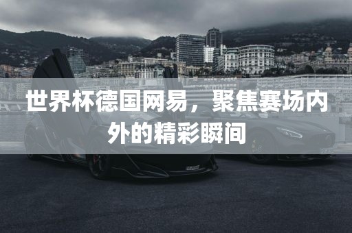 世界杯德国网易，聚焦赛场内外的精彩瞬间