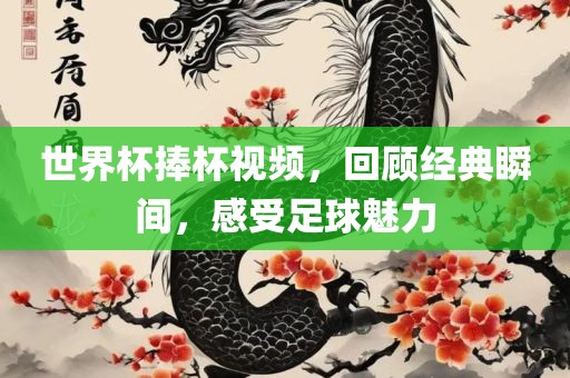 世界杯捧杯视频，回顾经典瞬间，感受足球魅力广西贺州市华昌新材料有限公司