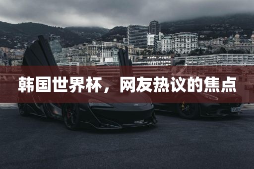 韩国世界杯，网友热议的焦点