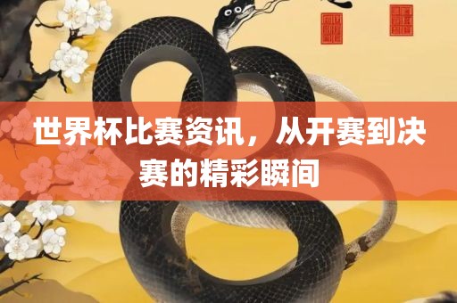 世界杯比赛资讯，从开赛到决赛的精彩瞬间广西贺州市华昌新材料有限公司