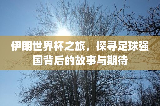 伊朗世界杯之旅，探寻足球强国背后的故事与期待
