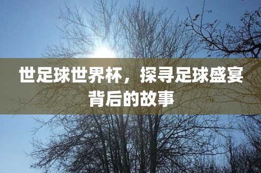 世足球世界杯，探寻足球盛宴背后广西贺州市华昌新材料有限公司的故事