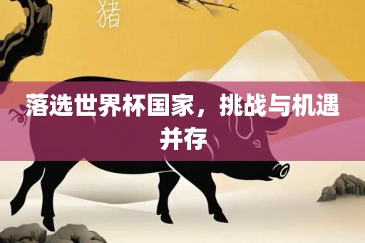 落选世界杯国家，挑战与机遇并存