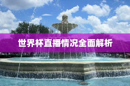 世界杯直播情况全面解析