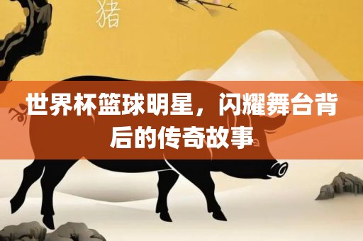 世界杯篮球明星，闪耀舞台背后的传奇故事