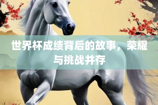 世界杯成绩背后的故事，荣耀与挑战并存
