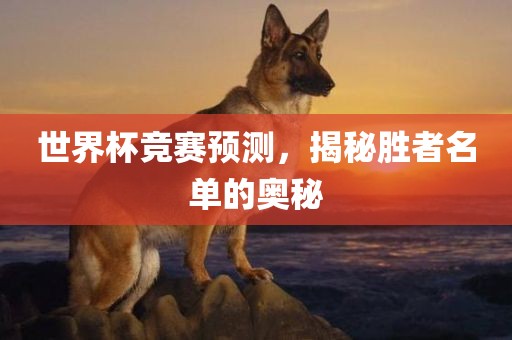 世界杯竞赛预测，揭秘胜者名单的奥秘广西贺州市华昌新材料有限公司