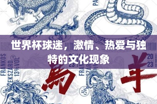 世界杯球迷，激情、热爱与独特的文化现象广西贺州市华昌新材料有限公司
