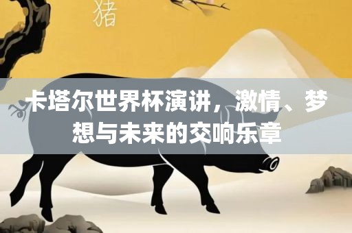 卡塔尔世界杯演讲，激情、梦想与未来的交响乐章