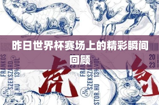 昨日世界杯赛场上的精彩瞬间回顾