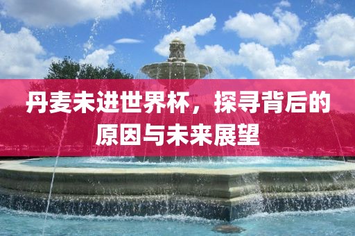 丹麦未进世界杯，探寻背后的原因与未来展望