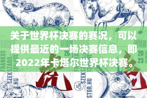 关于世界杯决赛的赛况，可以提供最近的一场决赛信息，即2022年卡塔尔世界杯决赛。广西贺州市华昌新材料有限公司