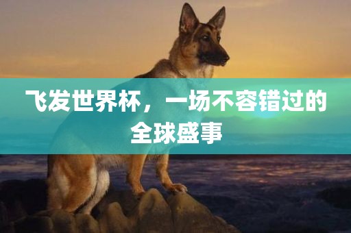 wuwennan 第3页