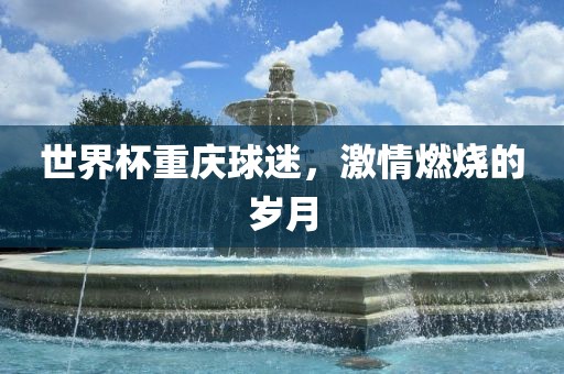 世界杯重庆球迷，激情燃烧的岁月广西贺州市华昌新材料有限公司