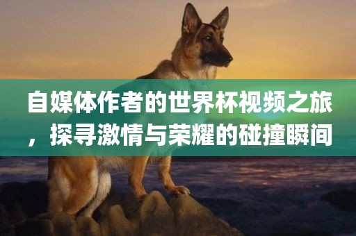 自媒体作者的世界杯视频之旅，探寻激情与荣耀的碰撞瞬间广西贺州市华昌新材料有限公司