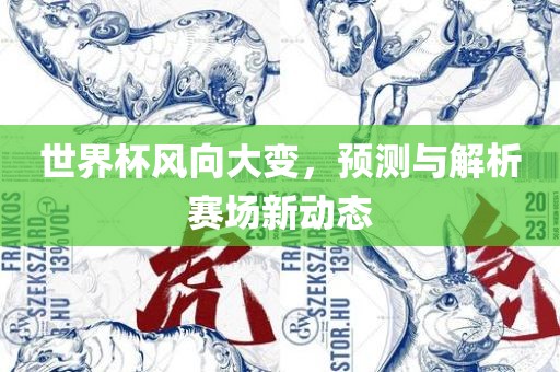 世界杯风向大变，预测与解析赛场新动态广西贺州市华昌新材料有限公司