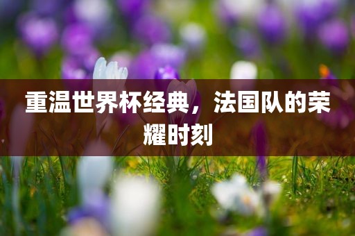 重温世界杯经典，法国队的荣耀时刻广西贺州市华昌新材料有限公司