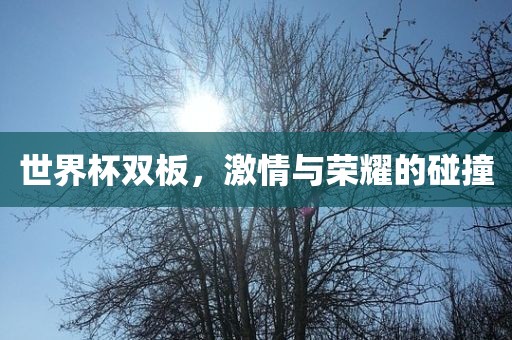 世界杯双板，激情与荣耀的碰撞