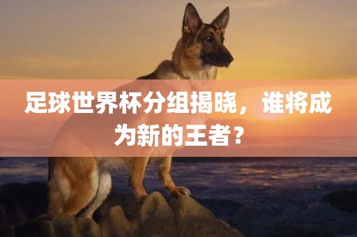 足球世界杯分组揭晓，谁将成为新的王者？广西贺州市华昌新材料有限公司