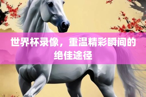 世界杯录像，重温精彩瞬间的绝佳途径