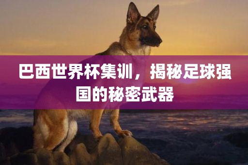 巴西世界杯集训，揭秘足球强国的秘密武器广西贺州市华昌新材料有限公司