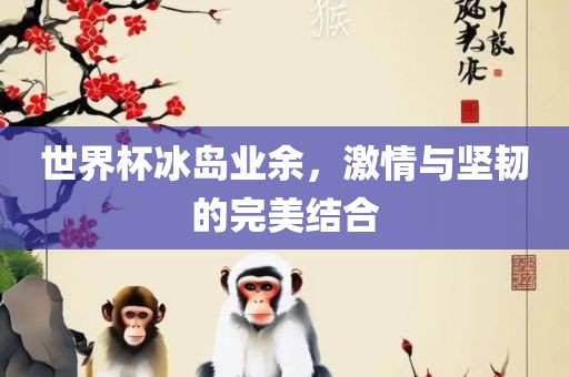 世界杯冰岛业余，激情与坚韧的完美结合