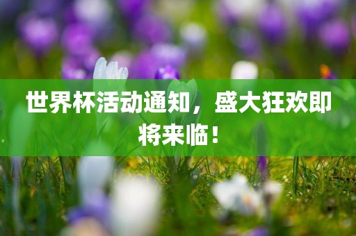 世界杯活动通知，盛大狂欢即将来临！广西贺州市华昌新材料有限公司