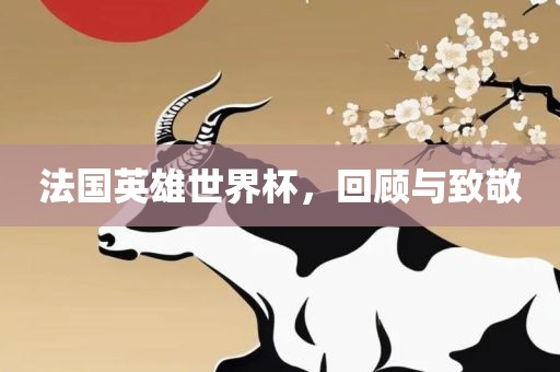 法国英雄世界杯，回顾与致敬