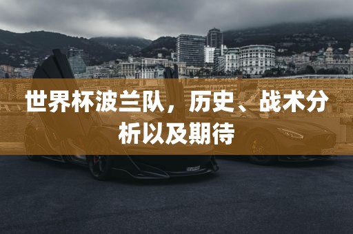 世界杯波兰队，历史、战术分析以及期待