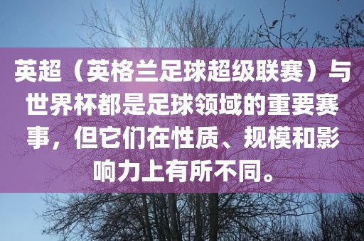 英超（英格兰足球超级联赛）与世界杯都是足球领域的重要赛事，但它们在性质、规模和影响力上有所不同。广西贺州市华昌新材料有限公司