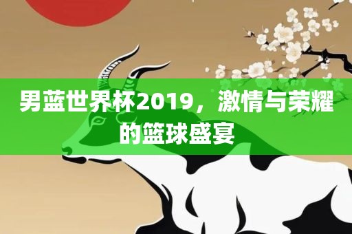 男蓝世界杯2019，激情与荣耀的篮球盛宴
