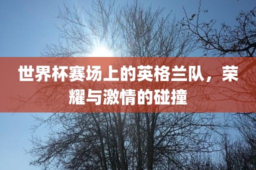 世界杯赛场上的英格兰队，荣耀与激情的碰撞