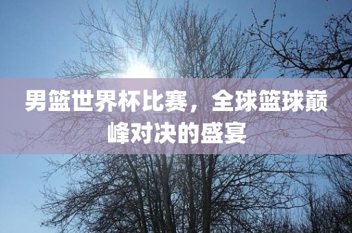 男篮世界杯比赛，全球篮球巅峰对决的盛宴广西贺州市华昌新材料有限公司