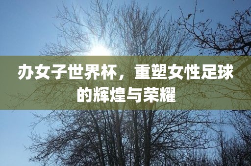 办女子世界杯，重塑女性足球的辉煌与荣耀