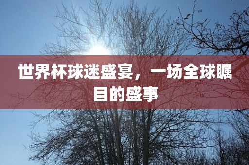 世界杯球迷盛宴，一场全球瞩目的盛事广西贺州市华昌新材料有限公司