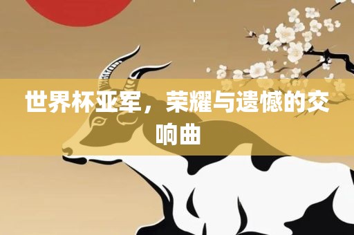 世界杯亚军，荣耀与遗憾的交响曲