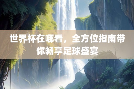 世界杯在哪看，全方位指南带你畅享足球盛宴