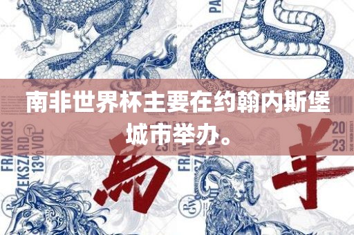 南非世界杯主要在约翰内斯堡城市举办。